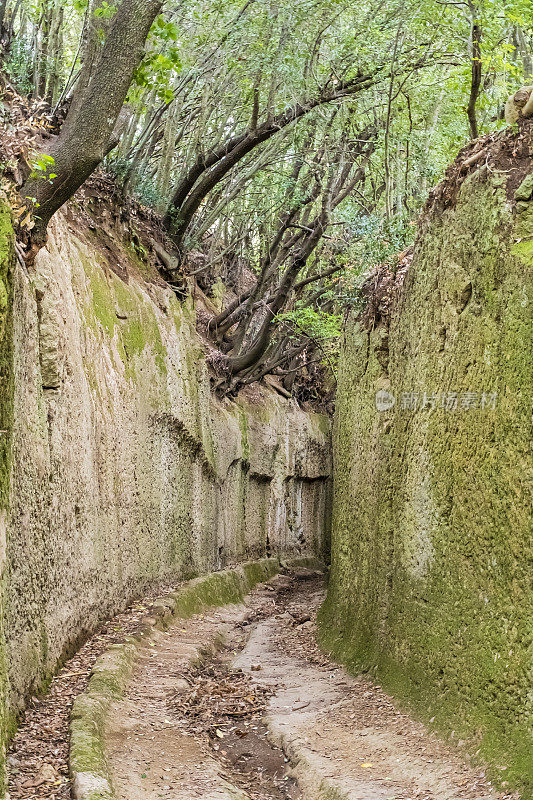 皮蒂利亚诺托斯卡纳的Vie Cave